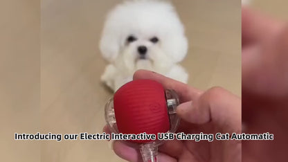 Viral Rolling Ball,Interactive Cat Ball Toy